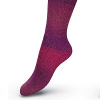 Regia Hand-Dye Effect 6558